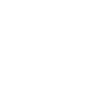 Imagen centrada en el footer