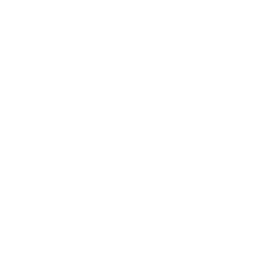Imagen centrada en el footer